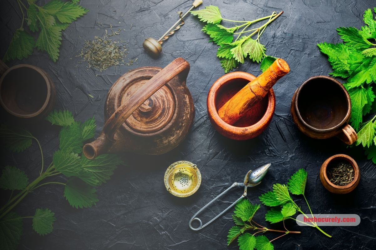 Herbal Solutions for Managing Blood Sugar Levels